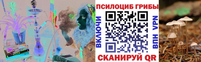 Псилоцибиновые грибы прущие грибы  Бутурлиновка 
